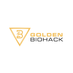 Partner Logo 44 logo